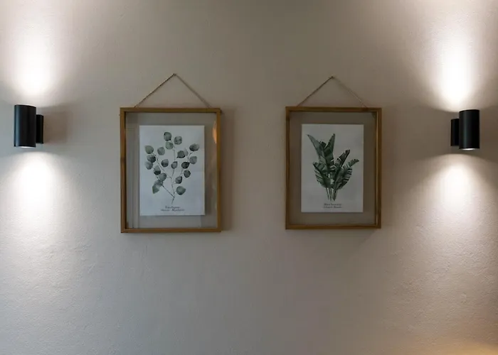 Raizes Da Montanha Rral 4596