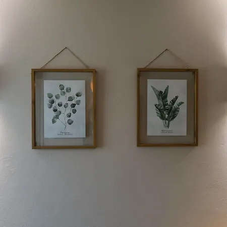 Raizes Da Montanha Rral 4596